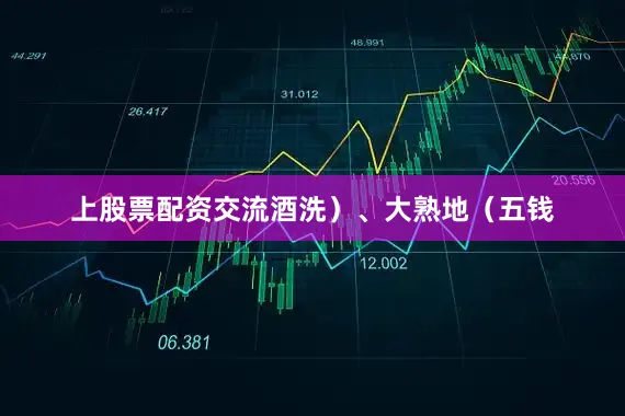 上股票配资交流酒洗）、大熟地（五钱