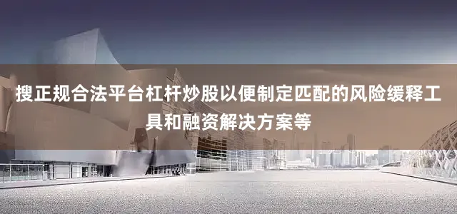 搜正规合法平台杠杆炒股以便制定匹配的风险缓释工具和融资解决方案等