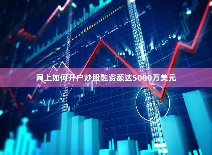 网上如何开户炒股融资额达5000万美元